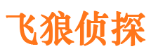 细河侦探公司